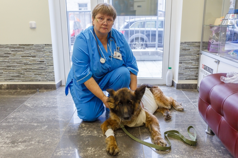 опытный ветеринарный врач Федорова Ольга